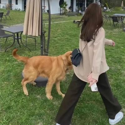恐怖母亲节